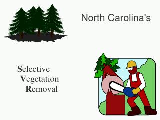 North Carolina's