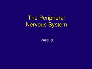 PPT - The Peripheral Nervous System PowerPoint Presentation - ID:869014