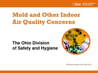 Mold and Other Indoor Air Quality Concerns