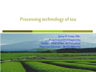 Processing technology of tea
