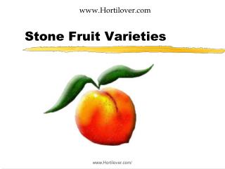 Stone Fruit Varieties