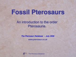 Fossil Pterosaurs
