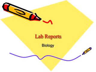 Lab Reports