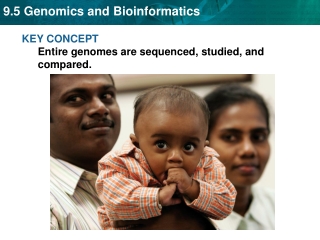 KEY CONCEPT Entire genomes are sequenced, studied, and compared.