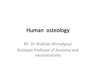 Human osteology
