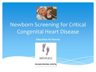 Newborn Congenital Heart Disease Screeni PowerPoint (PPT) Presentations ...