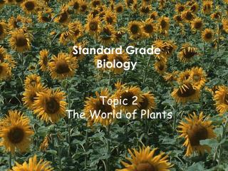 Topic 2 The World of Plants
