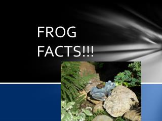 Frogs facts!!