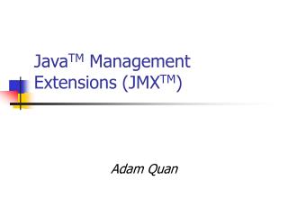 Java TM Management Extensions (JMX TM )