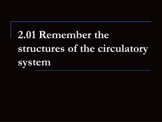 2.01 Remember the structures of the circulatory system