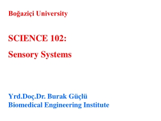 Boğaziçi University SCIENCE 102 : Sensory Systems Yrd.Doç.Dr. Burak Güçlü