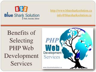 Benefits of selecting PHP web development services