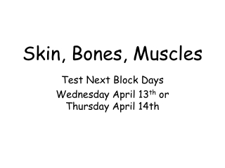 Skin, Bones, Muscles