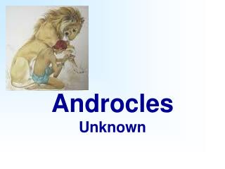 Androcles Unknown