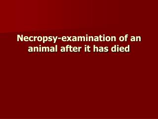 Necropsy-examination of an animal after it has died