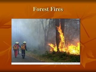 Forest Fire download