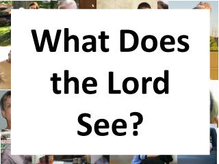 What Does the Lord See?