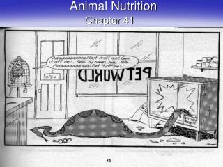 Animal Nutrition