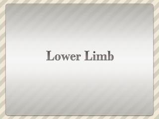 Lower Limb