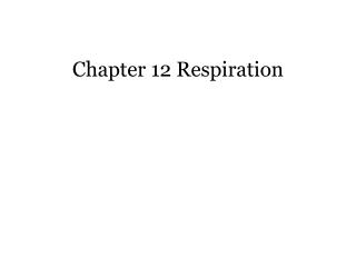 Chapter 12 Respiration