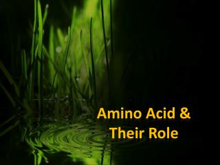 Amino Acid & Their Role