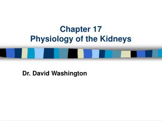 Chapter 17 Physiology of the Kidneys
