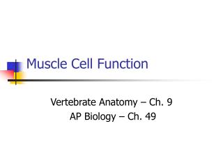 Muscle Cell Function