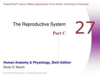 The Reproductive System Part C