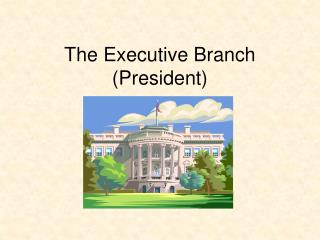 The Executive Branch (President)