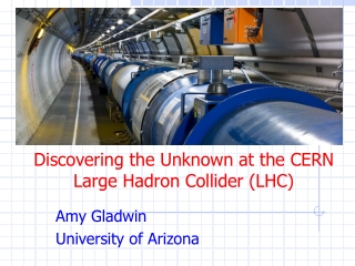Discovering the Unknown at the CERN Large Hadron Collider (LHC)