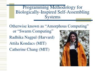 Programming Methodology for Biologically-Inspired Self-Assembling Systems