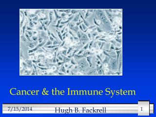 Cancer & the Immune System
