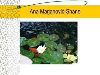 Ana Marjanović -Shane