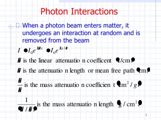 Photon Interactions