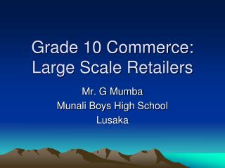 Grade 10 Commerce: Large Scale Retailers