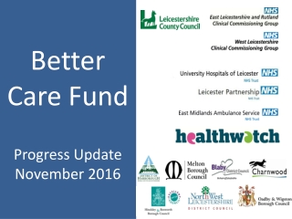Better Care Fund Progress Update November 2016