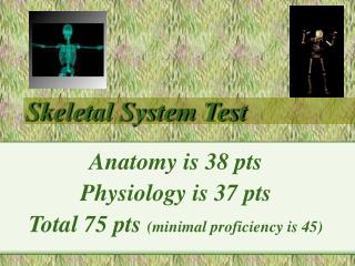 Skeletal System Test