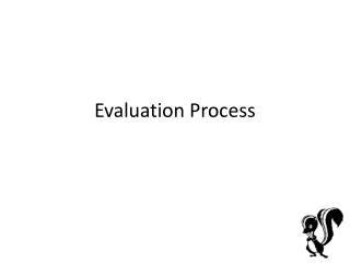Evaluation Process
