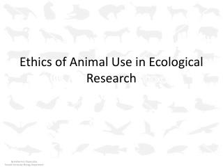 Ethics of Animal Use in Ecological Research