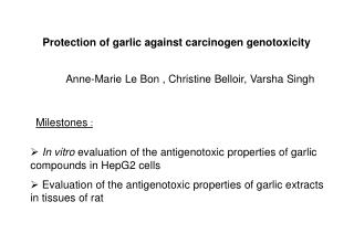 Protection of garlic against carcinogen genotoxicity