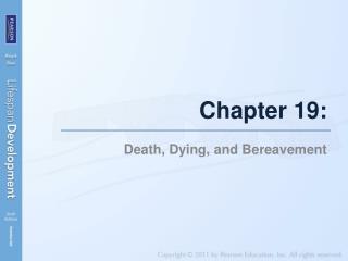 Chapter 19: