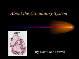 About the Circulatory System