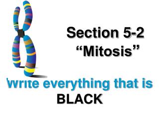 Section 5-2 “Mitosis ”