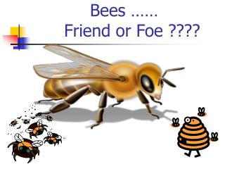 Bees …… Friend or Foe ????