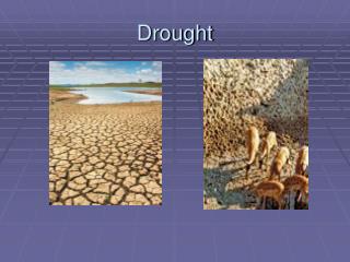 PPT - Drought PowerPoint Presentation, Free Download - ID:1816450