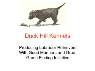 Duck Hill Kennels