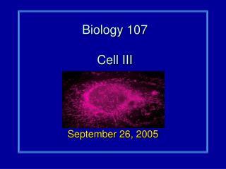 Biology 107 Cell III