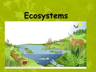 PPT - Ecosystems PowerPoint Presentation, Free Download - ID:1824648