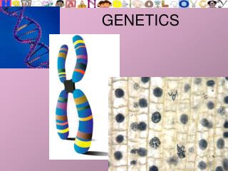 GENETICS