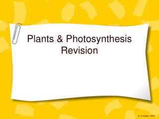 Plants & Photosynthesis Revision